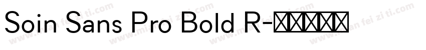 Soin Sans Pro Bold R字体转换